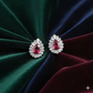 Elegant Silver Earrings with Red Stone Center
