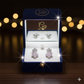 Elegant Silver Fan Stud Earrings – Plus Back